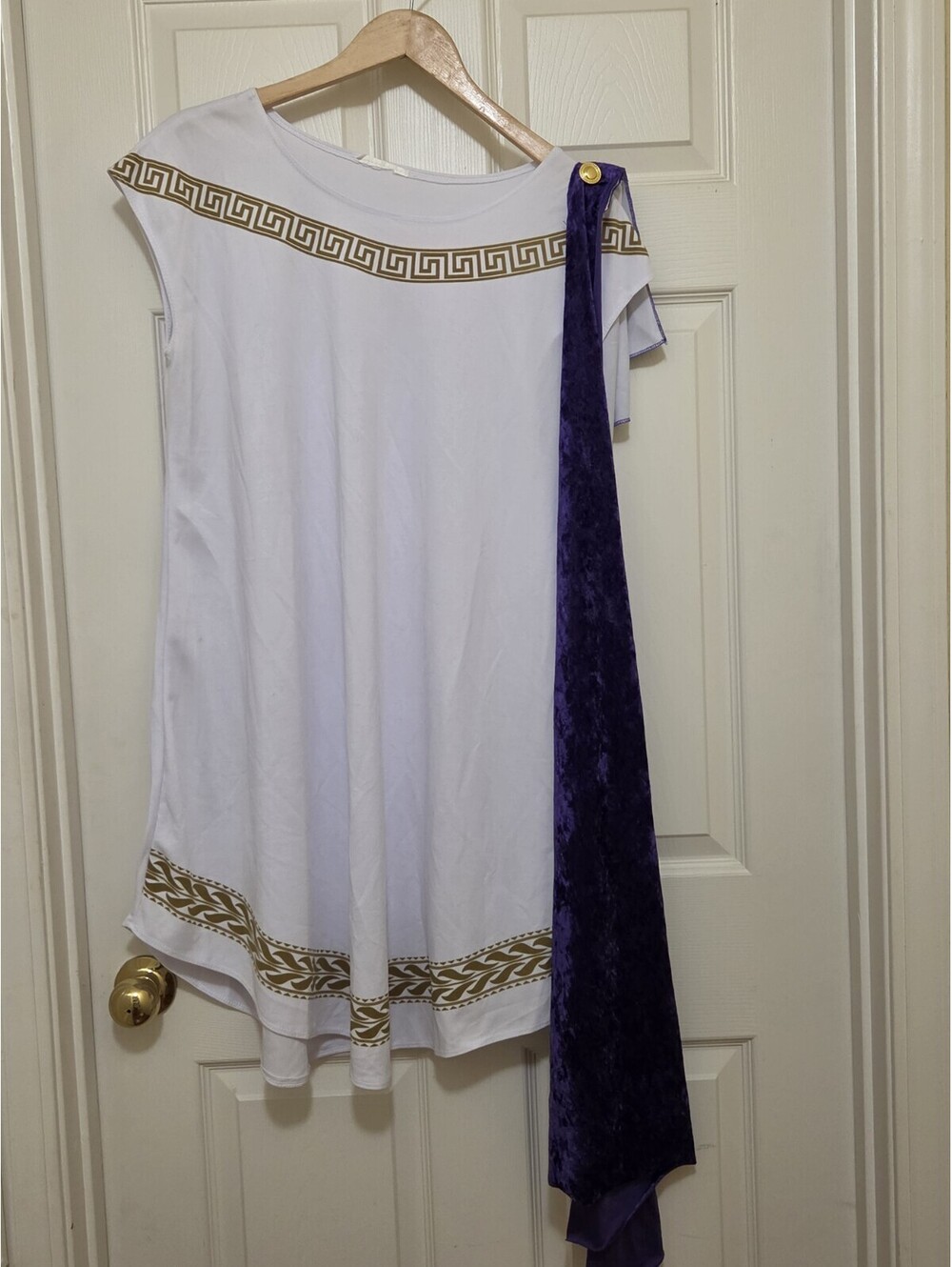 Caliornia Costumes Grecian Toga Dress Womens Small (6-8)